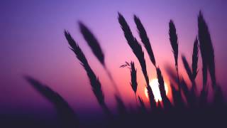 Counterwise - Time Goes By