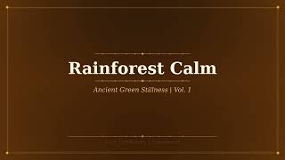 Rainforest Calm – Tropical Nature Music for Relaxation