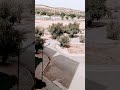 شكرا قاع لي سقساو عليا ولي وقفوا معايا في موت بويا الله يرحمه وعودتي قريبا ان شاء الله شكرا قاع لي سقساو عليا ولي وقفوا معايا في موت بويا الله يرحمه وعودتي قريبا ان شاء الله