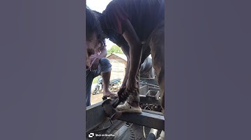 mechanic video #mechanic #mechanicalkeyboard