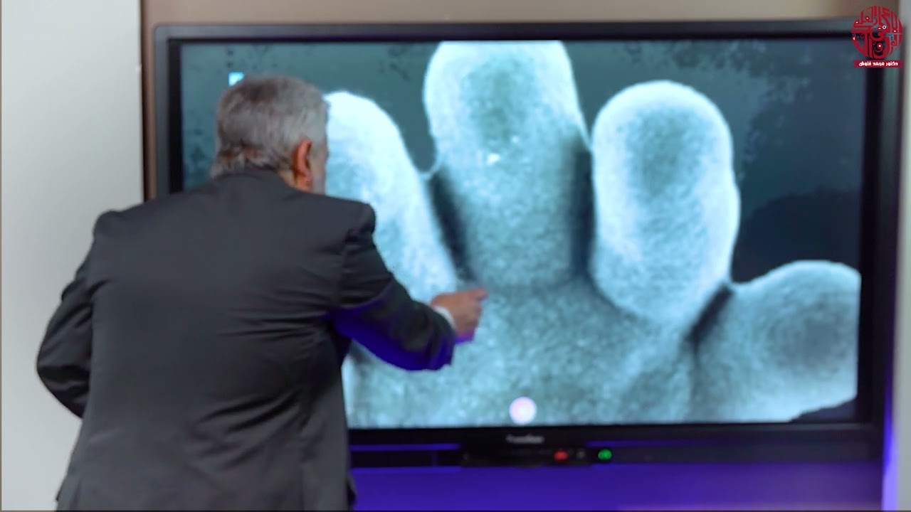 برنامج الاعجاز العلمي - لماذا نتشابه مع الحيوانات والطيور؟! - الحلقة رقم 12 من الموسم الاول