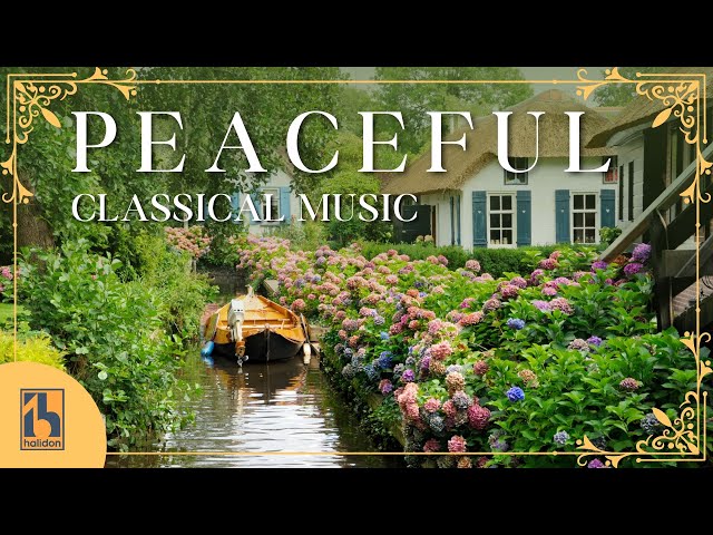 Peaceful Classical Music | Bach, Mozart, Vivaldi... class=