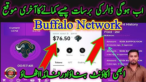 buffalo network withdrawal buffalo network live withdraw proof buffalo network dollar ki barsat 💵💵