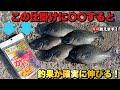 【堤防ウキ釣り仕掛け】が最強すぎた！〇〇を足すと爆釣する！大磯港で実釣！