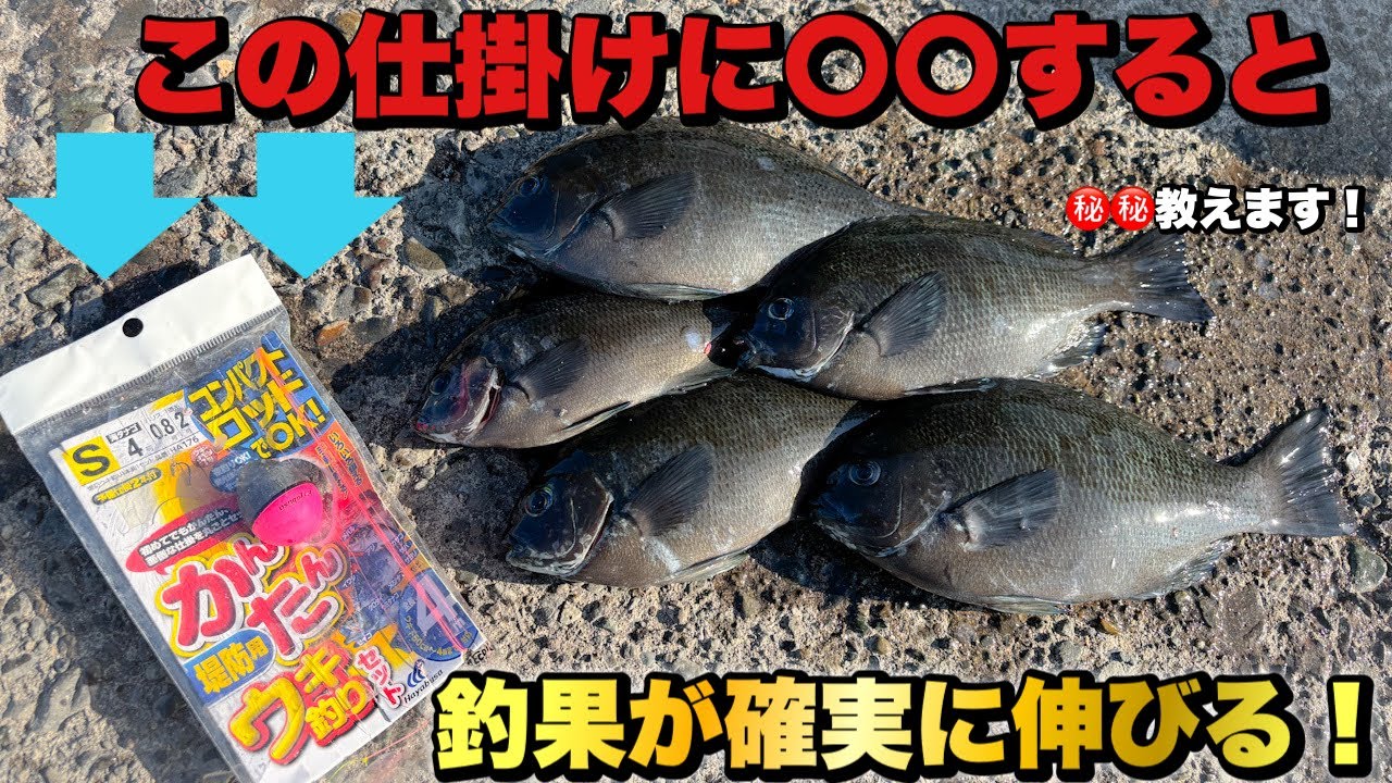 【堤防ウキ釣り仕掛け】が最強すぎた！〇〇を足すと爆釣する！大磯港で実釣！