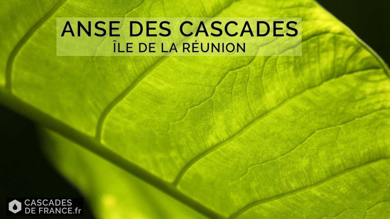 Anse des Cascades - Ile de la Réunion