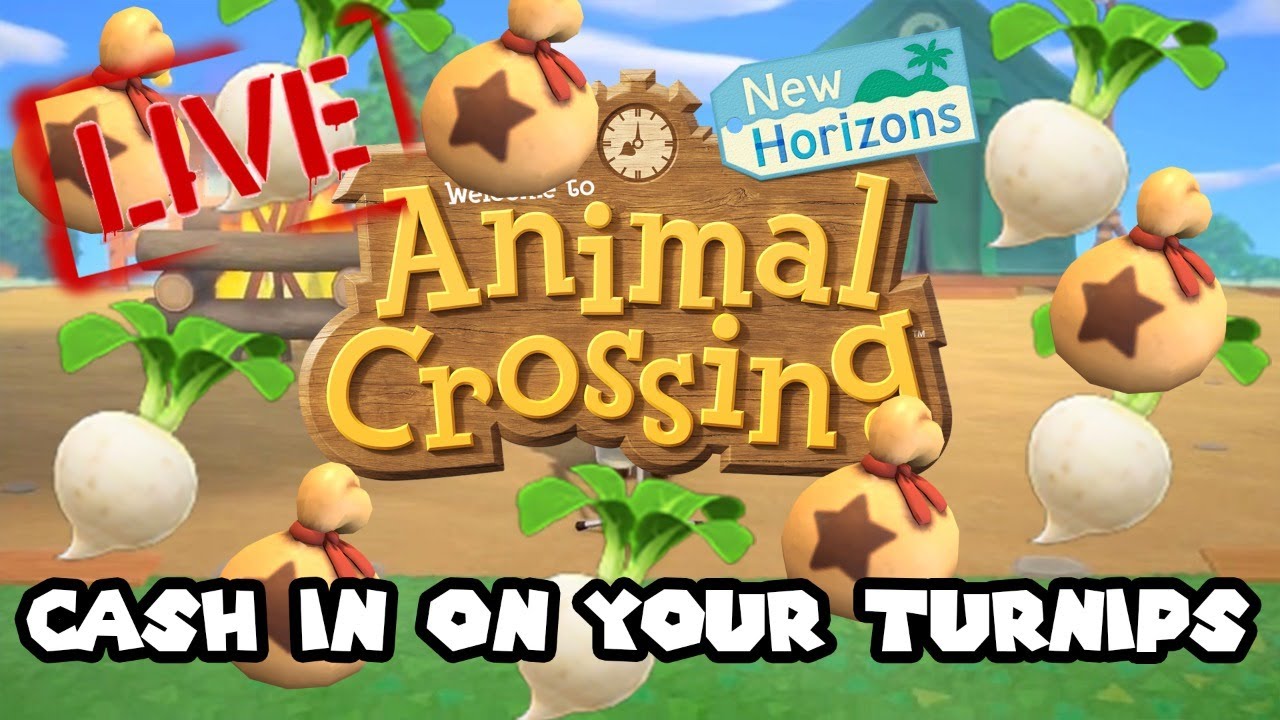 208 BELL TURNIPS in Animal Crossing: New Horizons (Charity Fundraiser