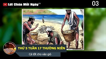 THỨ 5 TUẦN 17 THƯỜNG NIÊN Cá tốt cho vào giỏ