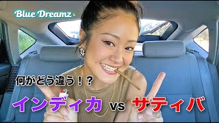 インディカとサティバ、どう違う！？