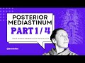 Posterior Mediastinum: Part 1/4: Phrenic Nerve, Venous Angle & Thoracic Duct: Whiteboard Walkthrough