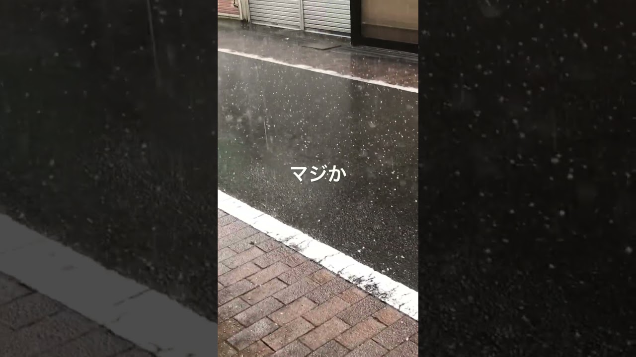 2023年10月25日