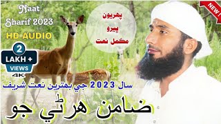 Harni Qisso Complete Naat 2023 By Faqeer Mazhar Khashkeli // New Sindhi Naat // Sawab Tv