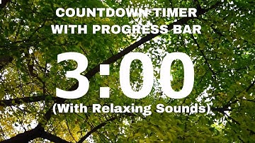 3 MINUTE COUNTDOWN TIMER WITH MUSIC AND PROGRESS BAR (TREES )