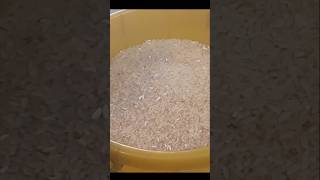 ரேஷன் அரிசி இருக்கா??? #shortsviral #tamil #fitness #mytriedtips #kitchen #tips