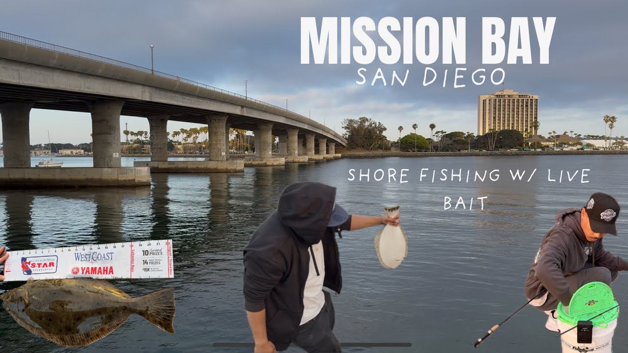 Mission Bay Fishing w/ Live Bait: Guaranteed/Easiest Way to Catch Halibut 🎣