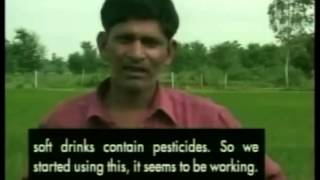 Coke and Pepsi being used by Indian farmers as a pesticide screenshot 3