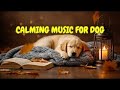 Dog Music for Anxiety Relief 🐾🎵 | 12 HOURS of Sleep Aid for Restless Dogs Left Alone at Home