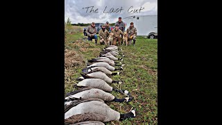 &quot;The Last Cut&quot; Wisconsin Goose Hunt