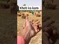 Kheti ka kam 😲😲#electrical #electronic #electric #industrialelectrician #viral #short #khetibadi