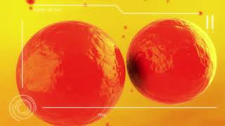 Nuclear Fusion - Cinematic Explainer Video