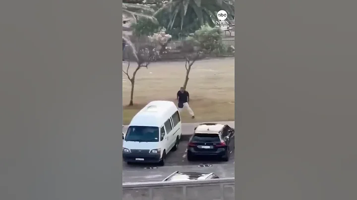 Moment heroic bystander wrestled gun away from Bondi Beach shooter