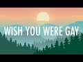 Billie Eilish – wish you were gay (Lyrics) 🎵