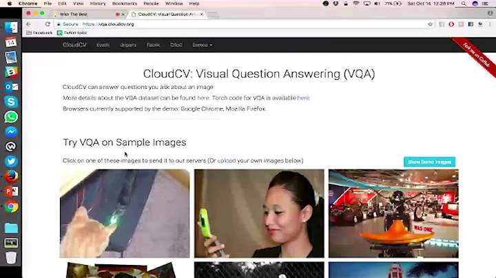 Visual Question Answering (VQA) by Devi Parikh