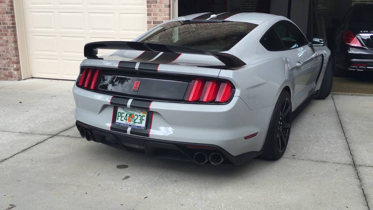 The wonderful sounds of a 2016 GT350R (revs w/valves open)