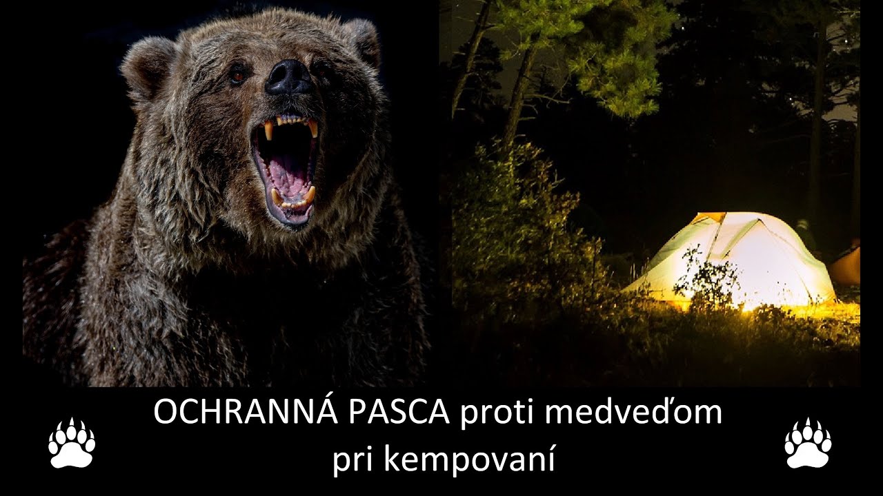 Ochranná pasca proti medveďom pri nočnom prespávaní v lese.