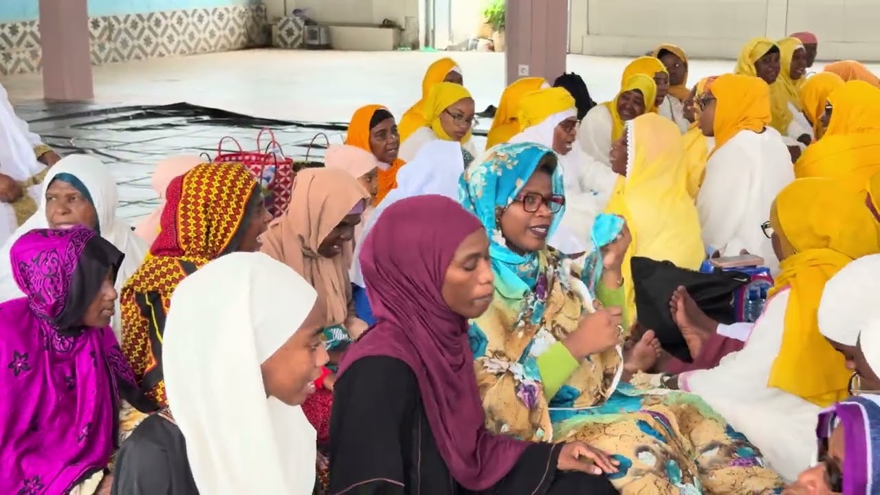 Toalaanti chamsu (Mtsangamougi)