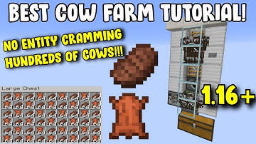 1.16+ CHEEP, COMPACT, LOSSLESS COW FARM! (BYPASSES ENTITY CRAMMING) (HUNDREDS OF COWS!)