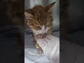 Update on Ethan [STORY BELOW]