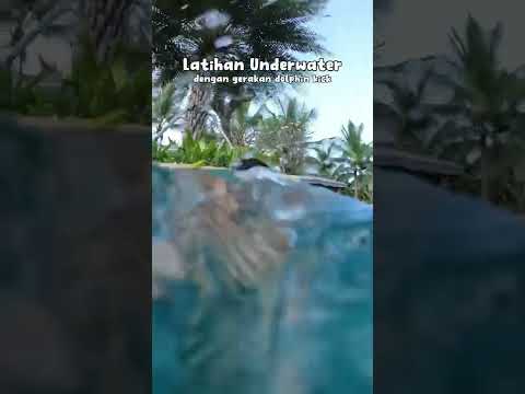 Video: Dapatkah berang-berang bernafas di dalam air?