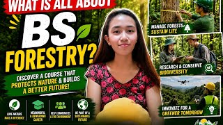 What is all about BS Forestry