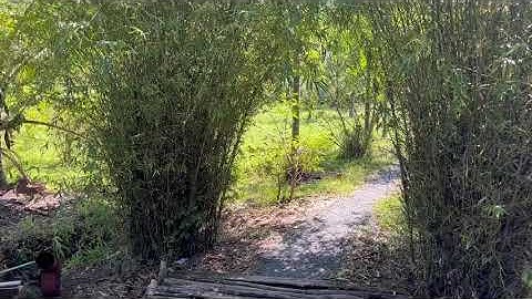 Mô Hình Nhà Vườn Nghỉ Dưỡng tại Đức Huệ Long An