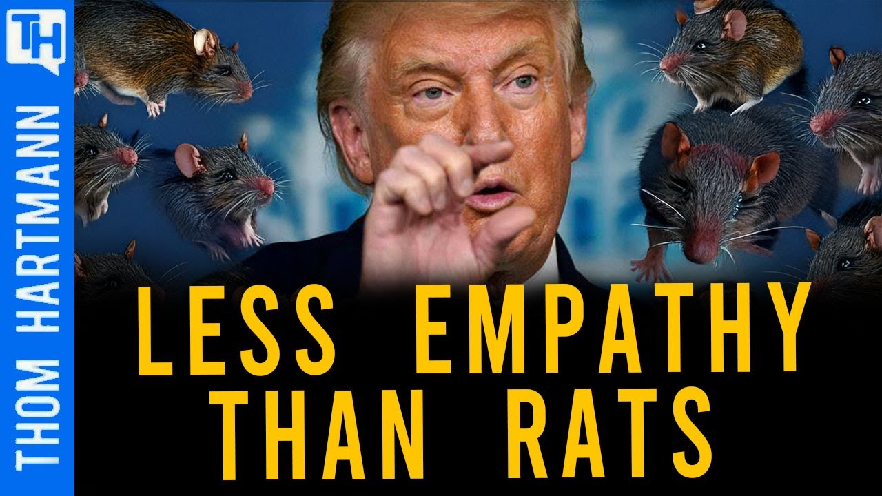 Trump Turned America into a Playground for Billionaire Psychopaths