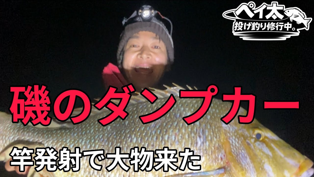 【和歌山】真冬の夜釣りで竿発射…大型タマン74cm！磯のダンプカー捕獲【和歌山県に投げ釣りでタマミを狙う！#4】
