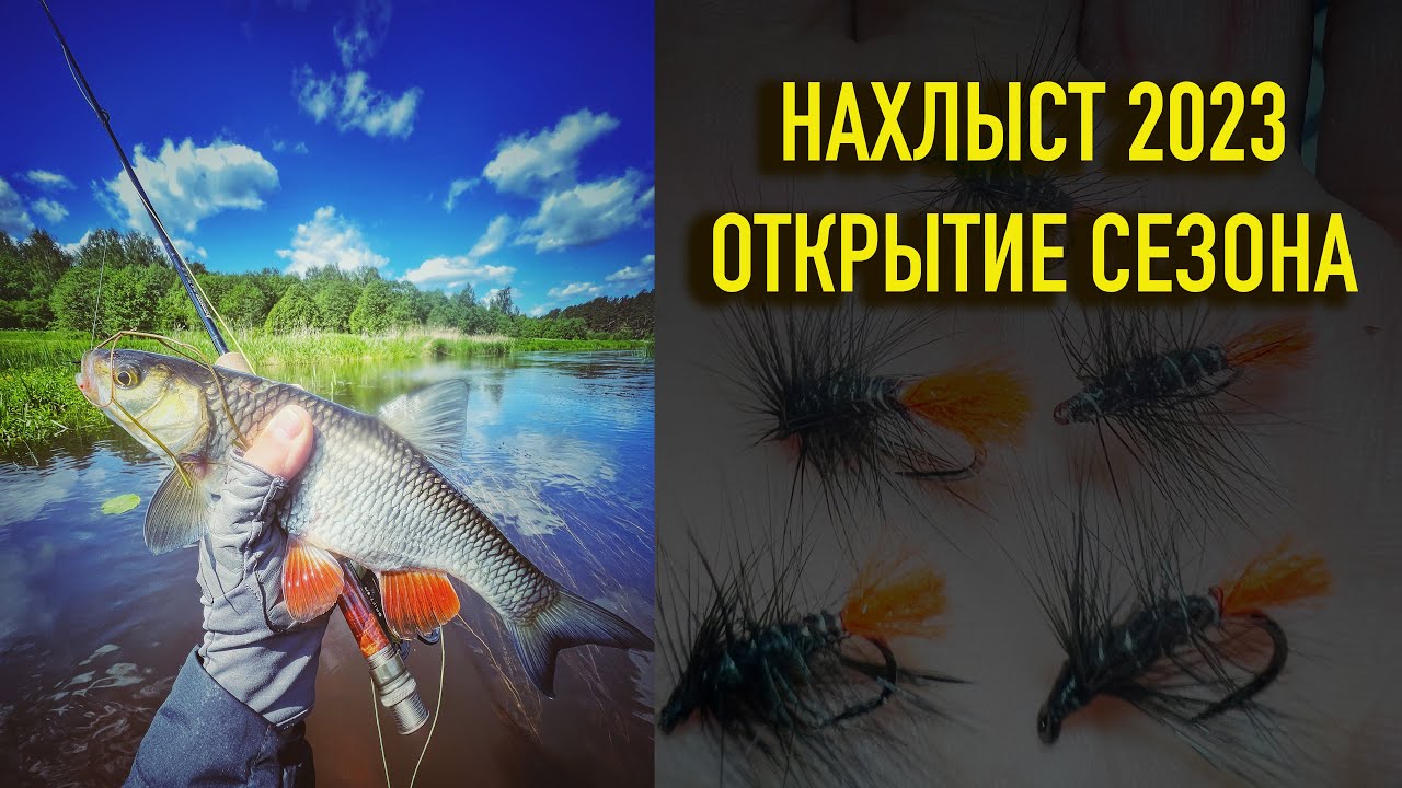 Открытие рыболовного сезона 2021 на волге
