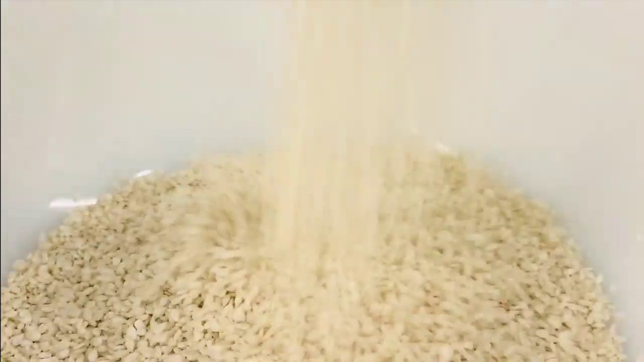 Sesame Seeds YouTube