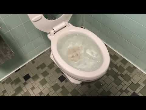 School overflow toilet