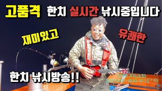 [생방송] 한치낚시 실시간 / 진해 대교낚시