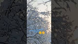 Zimowe klimaty w rytmie polskiej muzyki country 🌞🌼🦋😱