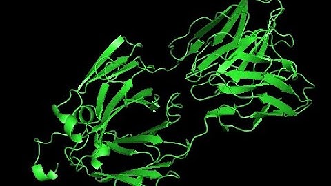 AutoDock Vina | How to create a bash script to dock ligands in loop structure?