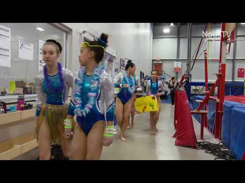 Vidéo: Raisons D'aimer La Gymnastique