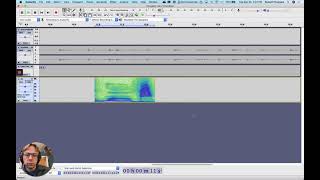 Audacity Filters and Pitch Time shifts