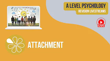 Attachment  | Live Revision for AQA A Level Psychology 2024