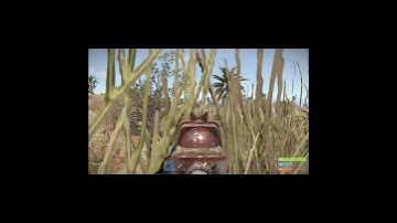 Grubles Gotta do What a Grubles Gotta do #rust #gaming #noob #youtube #shorts #videogames #fun