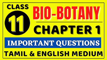 11th Bio Botany Chapter 1 important Questions | 11th Biology important Questions 2022 | Kalvi Tube