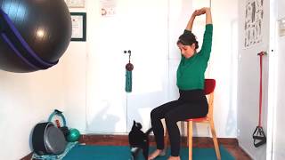Capsula 1: 15 minutos de yoga en silla para cintura escapular.