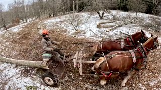 LAND CLEARING WITH DRAFT HORSES #604